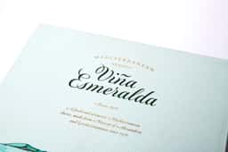 Packaging for a Limited-Edition Viña Esmeralda Wine - thumbnail 5