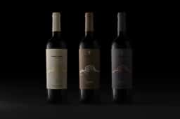 Packaging for Dominio Fournier Wines - thumbnail 2