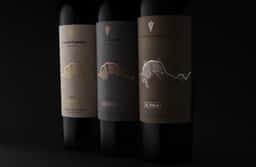 Packaging for Dominio Fournier Wines - thumbnail 3
