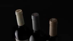 Packaging for Dominio Fournier Wines - thumbnail 7