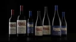Packaging for Petit Comité Wine - thumbnail 5