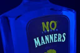 Branding and Packaging for Manners Gin - thumbnail 6