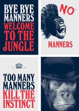 Branding and Packaging for Manners Gin - thumbnail 9