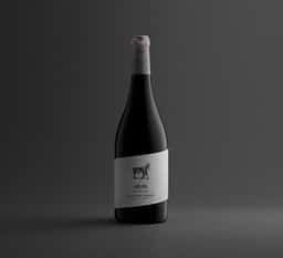 Wine Label Packaging for Pago de Ayles - thumbnail 7