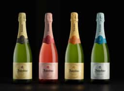 Packaging for Faustino Cava Range - thumbnail 2