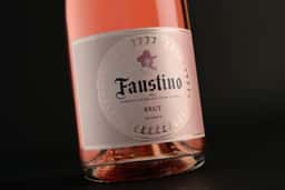 Packaging for Faustino Cava Range - thumbnail 8