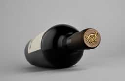 Wine Label Design for Casa Rojo - thumbnail 4