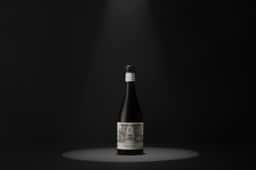 Packaging for Paranormal Wine Collection - thumbnail 3