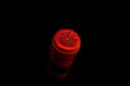 Wine Label Design for Cydonia Labyrinth - thumbnail 4