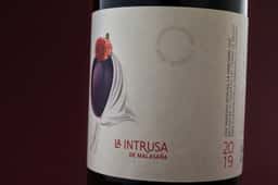 Wine Packaging for Bodegas Laguna - thumbnail 4