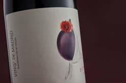 Wine Packaging for Bodegas Laguna - thumbnail 7