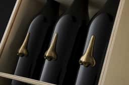 Packaging for Casa Solís Wine Collection - thumbnail 7