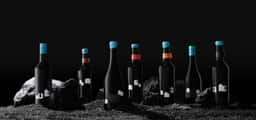 Packaging for Casa Solís Wine Collection - thumbnail 9