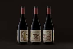 Naming and Packaging for Pago Aylés Wine - thumbnail 3