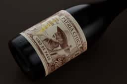 Naming and Packaging for Pago Aylés Wine - thumbnail 4