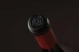 Naming and Packaging for Pago Aylés Wine - thumbnail 9