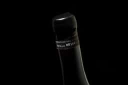 Packaging Design for Bodegas Saura Winery - thumbnail 5