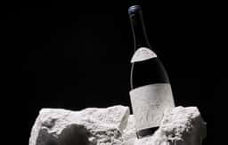 Packaging Design for Bodegas Saura Winery - thumbnail 6