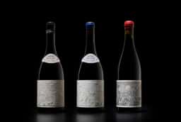Packaging Design for Bodegas Saura Winery - thumbnail 8