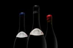 Packaging Design for Bodegas Saura Winery - thumbnail 9