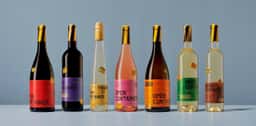 Packaging for Hayk Wines' Open Container Collection - thumbnail 8