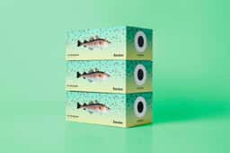 Brand Identity for El Hombre Bacalao - thumbnail 3
