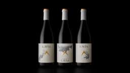 Packaging and Rebranding for Lavia Winery - thumbnail 3