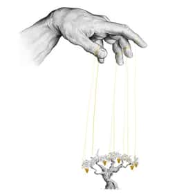 Wine Label Design for Marionette - thumbnail 4