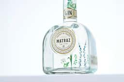 Packaging Design for Matraz Gin - thumbnail 2