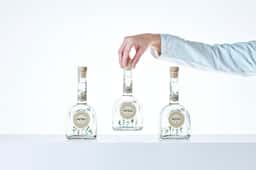 Packaging Design for Matraz Gin - thumbnail 5