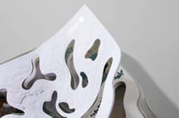 Product Design for UPM Raflatac Label Materials Swatchbook - thumbnail 5