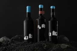 Brand Identity for a Lanzarote Winery - thumbnail 4