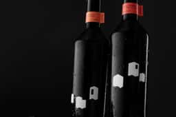 Brand Identity for a Lanzarote Winery - thumbnail 7