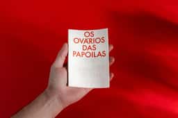 Exhibition Design for the Ovaries of the Poppies - thumbnail 2