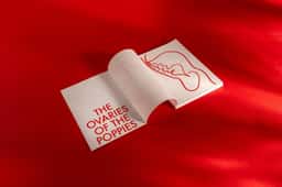 Exhibition Design for the Ovaries of the Poppies - thumbnail 7