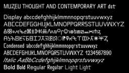 Graphic Identity for Muzeu - thumbnail 3