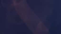 Brand Identity for Culture - thumbnail 8