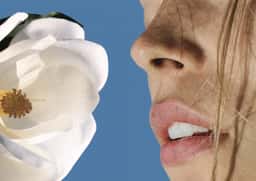 Brand Worlds for Global Beauty Brands - thumbnail 5