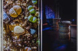 Exhibition Identity for Beyond the Pain - thumbnail 8