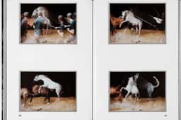 Exhibition Identity for Beyond the Pain - thumbnail 9