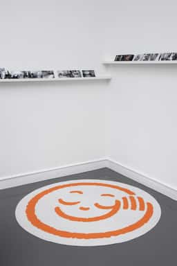 Exhibition Design for an Imaginary Audience - thumbnail 4