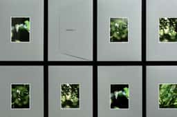 Untitled Case - thumbnail 6