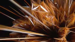 Key Visuals for Native Instruments Massive X - thumbnail 6