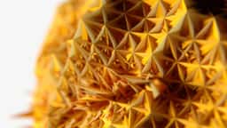 Key Visuals for Native Instruments Massive X - thumbnail 8