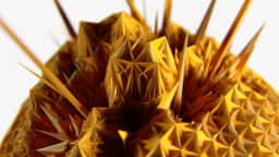 Key Visuals for Native Instruments Massive X - thumbnail 9