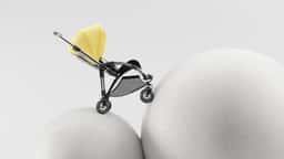 Visual Exploration for Bugaboo Strollers - thumbnail 7
