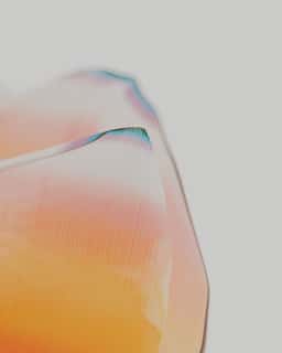 Visual Research On Natural Patterns for Digital Biology - thumbnail 5