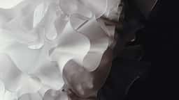 Visual Research On Natural Patterns for Digital Biology - thumbnail 8