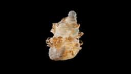 3D Motion Exploration of Mineral Formation for Media.Work - thumbnail 2