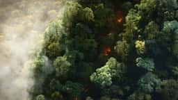 Environmental Visualization for SPACE10 Climate Stressors - thumbnail 2